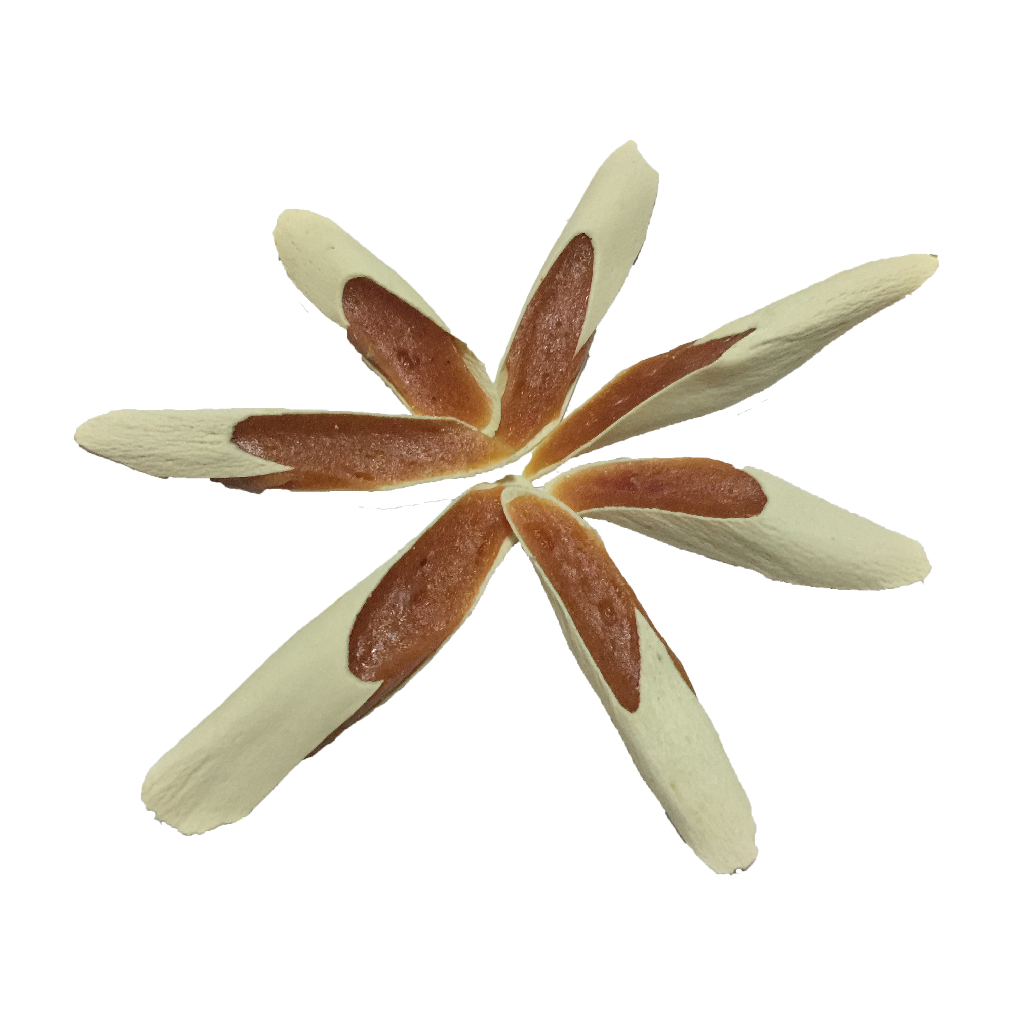 Chicken penne