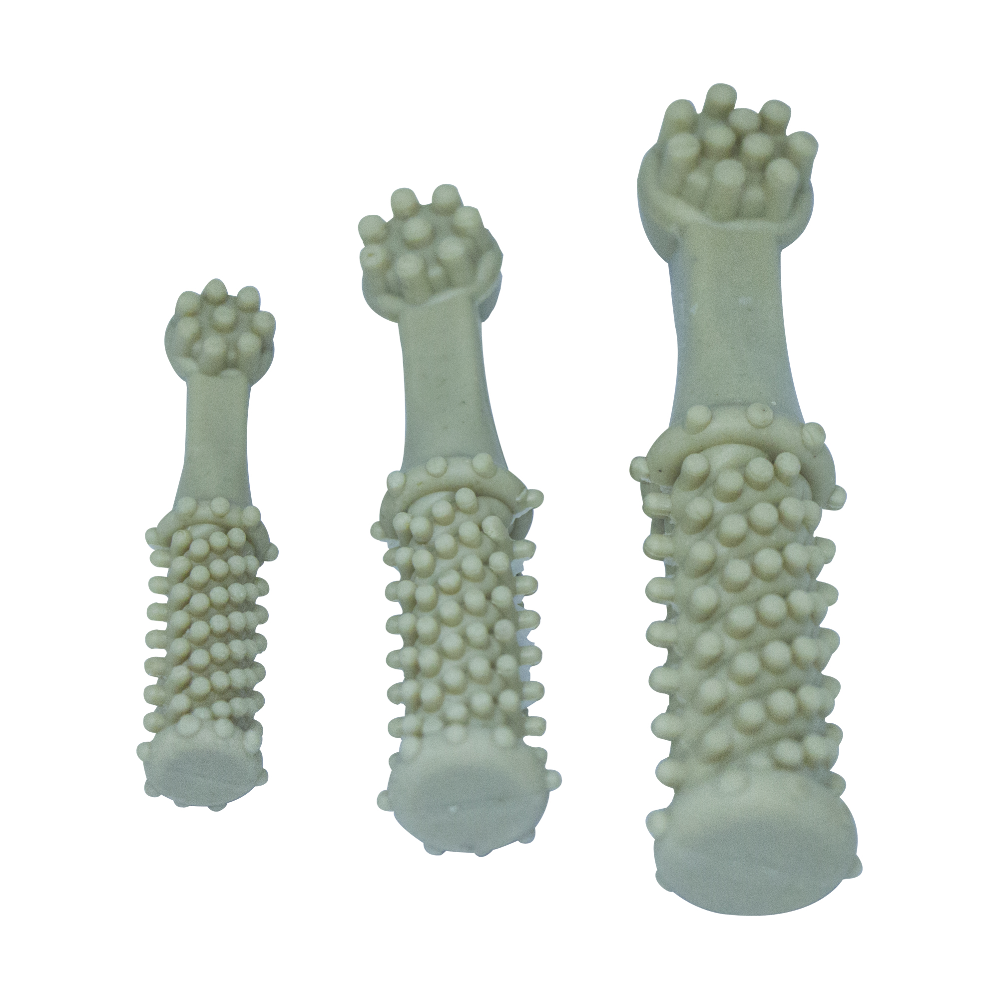 Dental toothbrush1