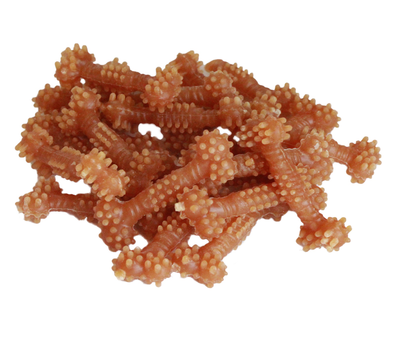 Dental mini bone
